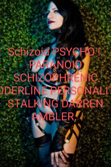 Paranoid Schizophrenic stalker of Darren Ambler